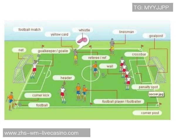 足球后卫英文术语解析及其在比赛中的重要性与角色分析