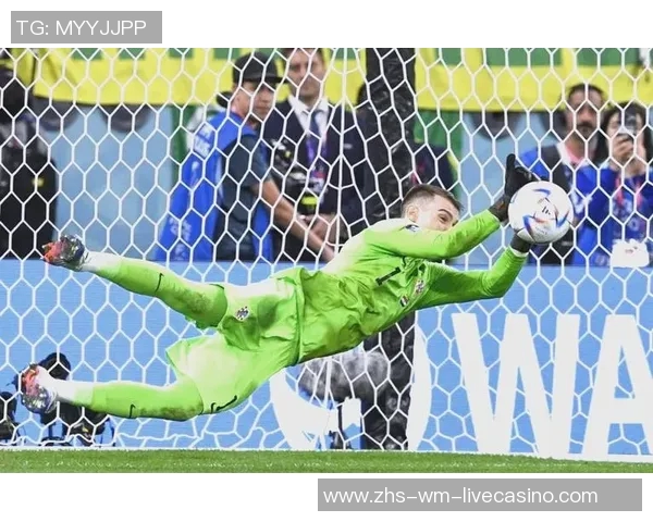 法国与阿根廷精彩对决全场视频回顾及精彩瞬间分析